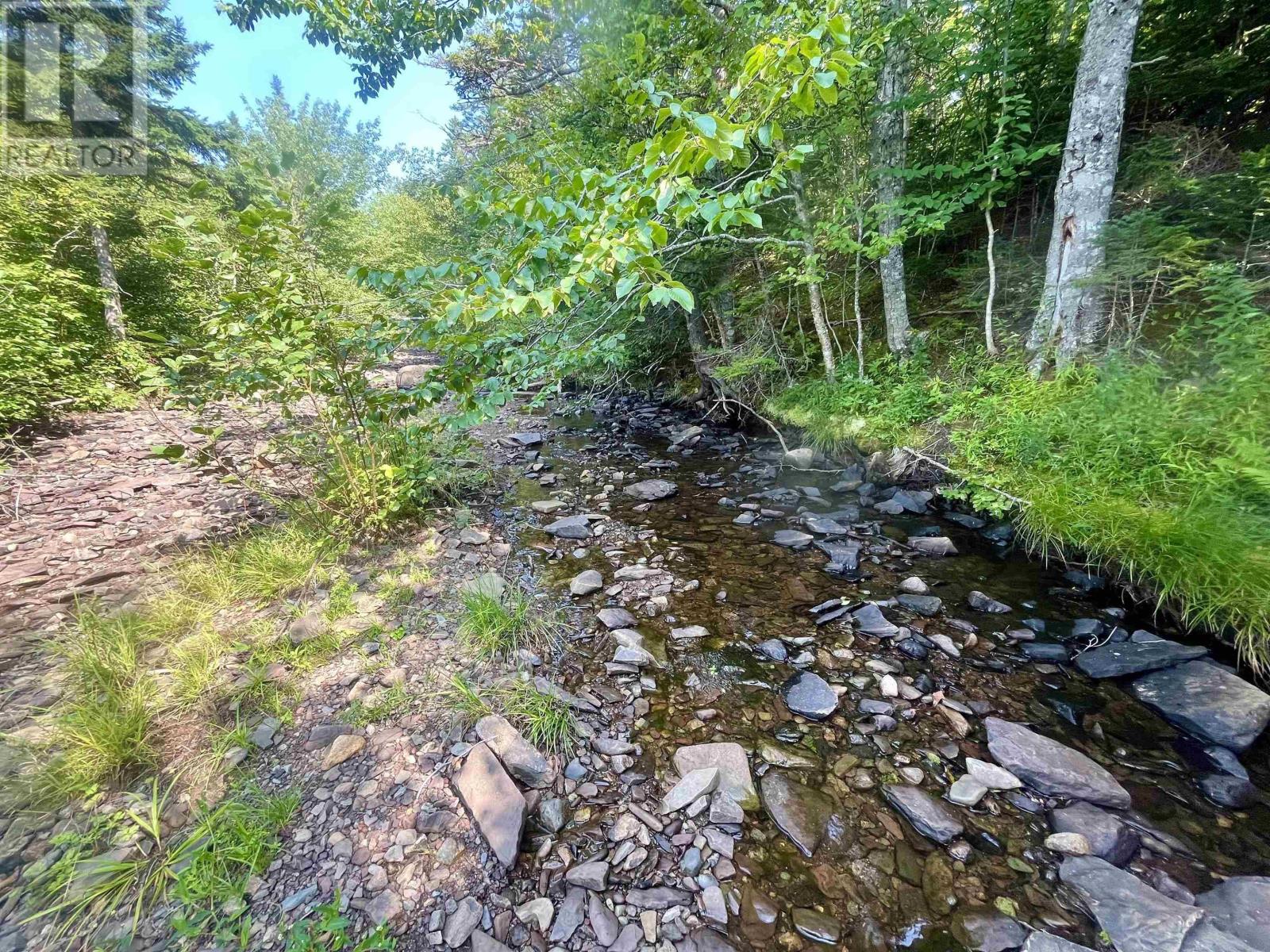 1520 Back Road, River Bourgeois, Nova Scotia  B0E 2X0 - Photo 50 - 202517346