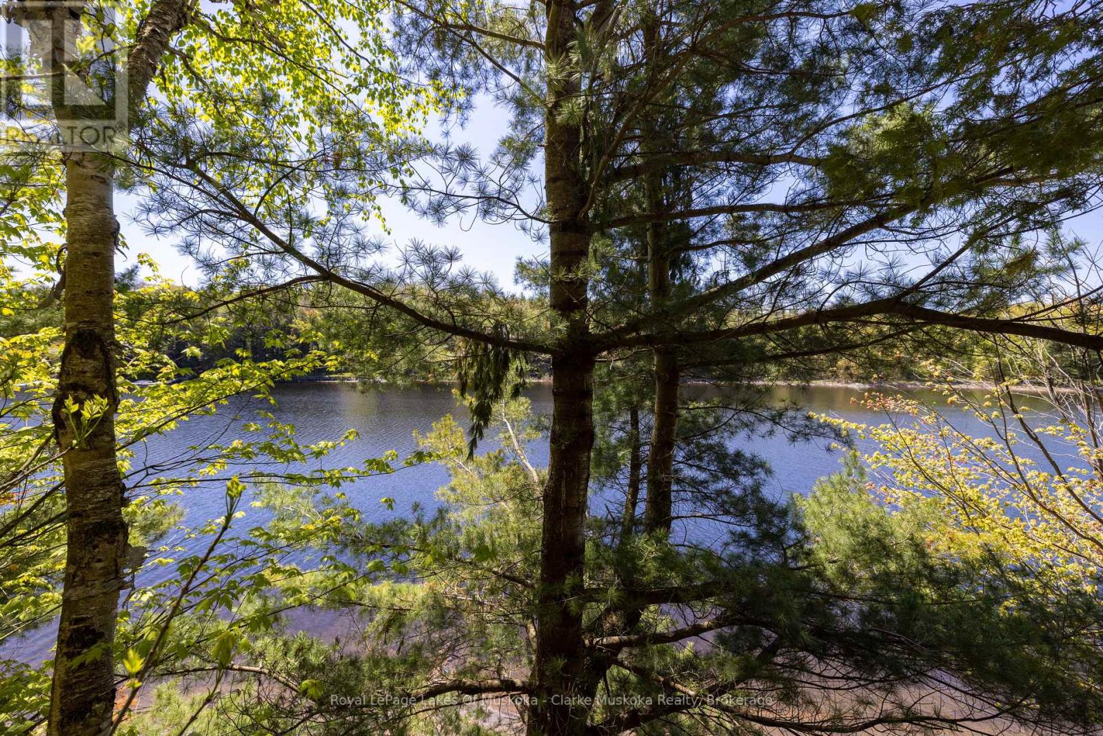 1083 Harrison Trail, Georgian Bay, Ontario  P0C 1H0 - Photo 2 - X12158460