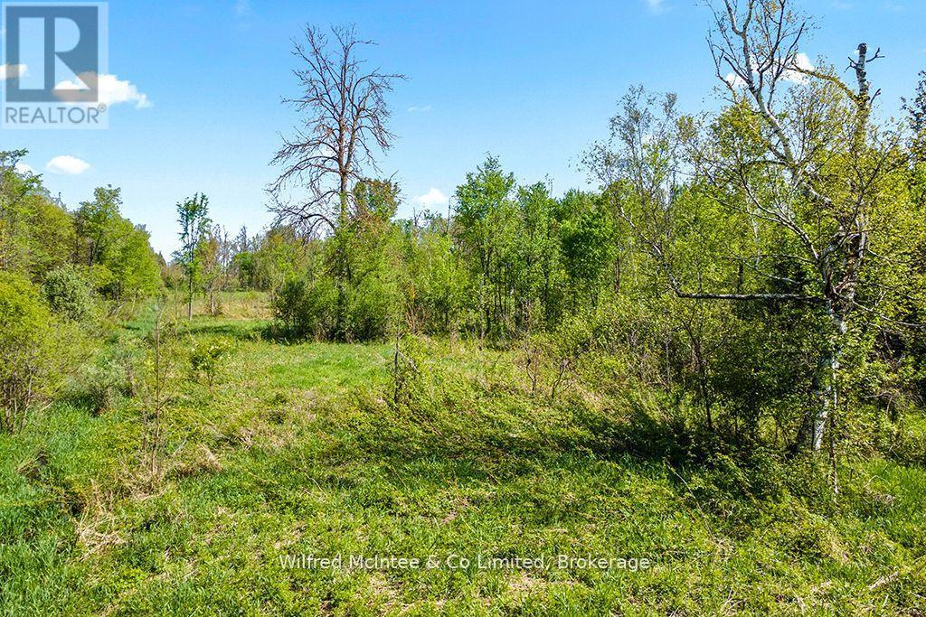 8446 Line 12, Wellington North, Ontario  N0G 1N0 - Photo 25 - X12278964