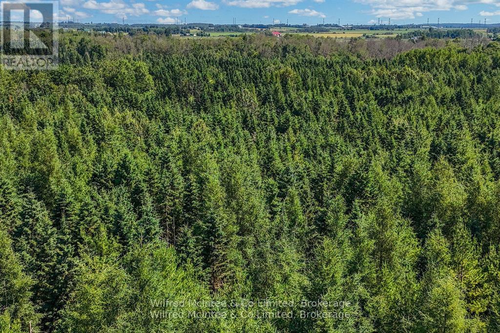 8446 Line 12, Wellington North, Ontario  N0G 1N0 - Photo 26 - X12278964