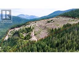 Quartz Creek Forest Service Road Road Lot# Parcel A, ymir, British Columbia
