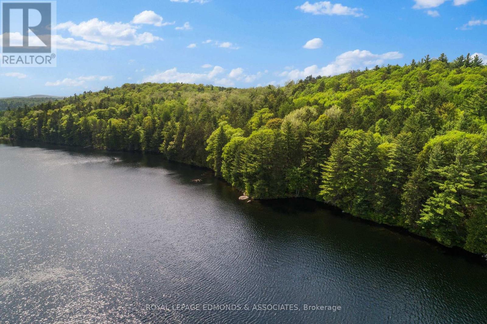18993 Highway 60, Madawaska Valley, Ontario  K0J 1B0 - Photo 11 - X12279115