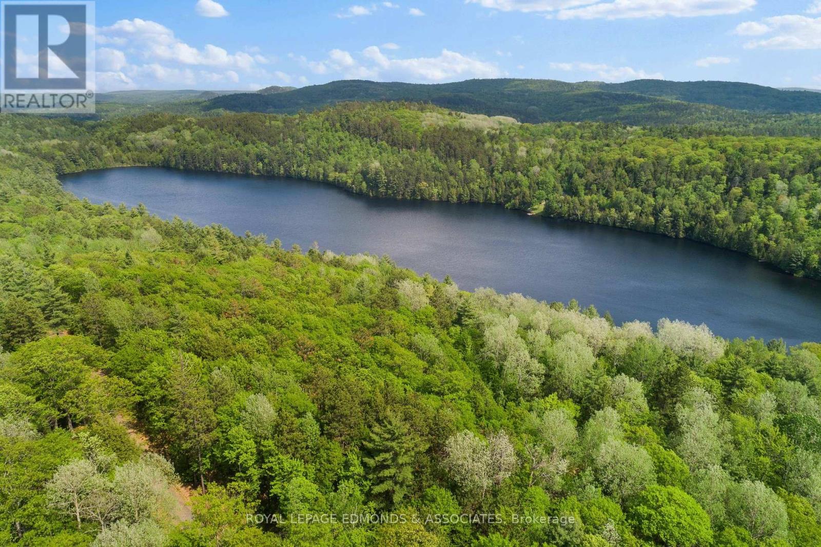 18993 Highway 60, Madawaska Valley, Ontario  K0J 1B0 - Photo 17 - X12279115