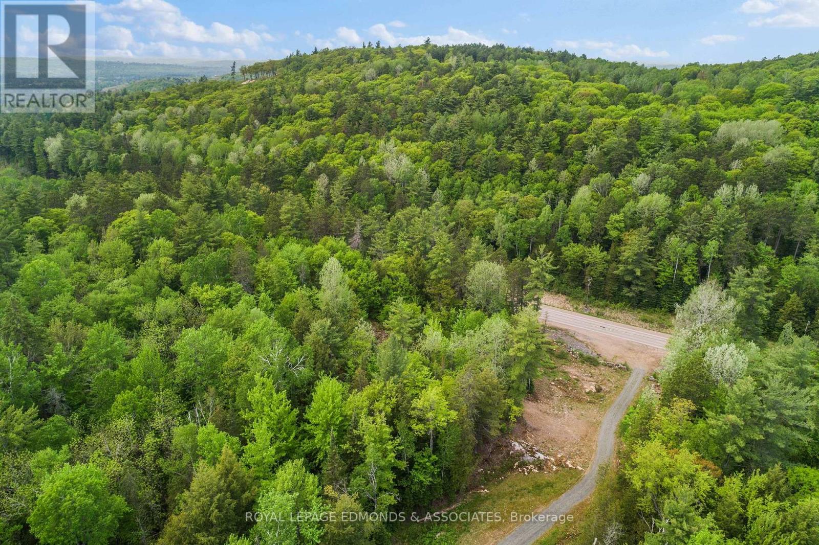 18993 Highway 60, Madawaska Valley, Ontario  K0J 1B0 - Photo 28 - X12279115