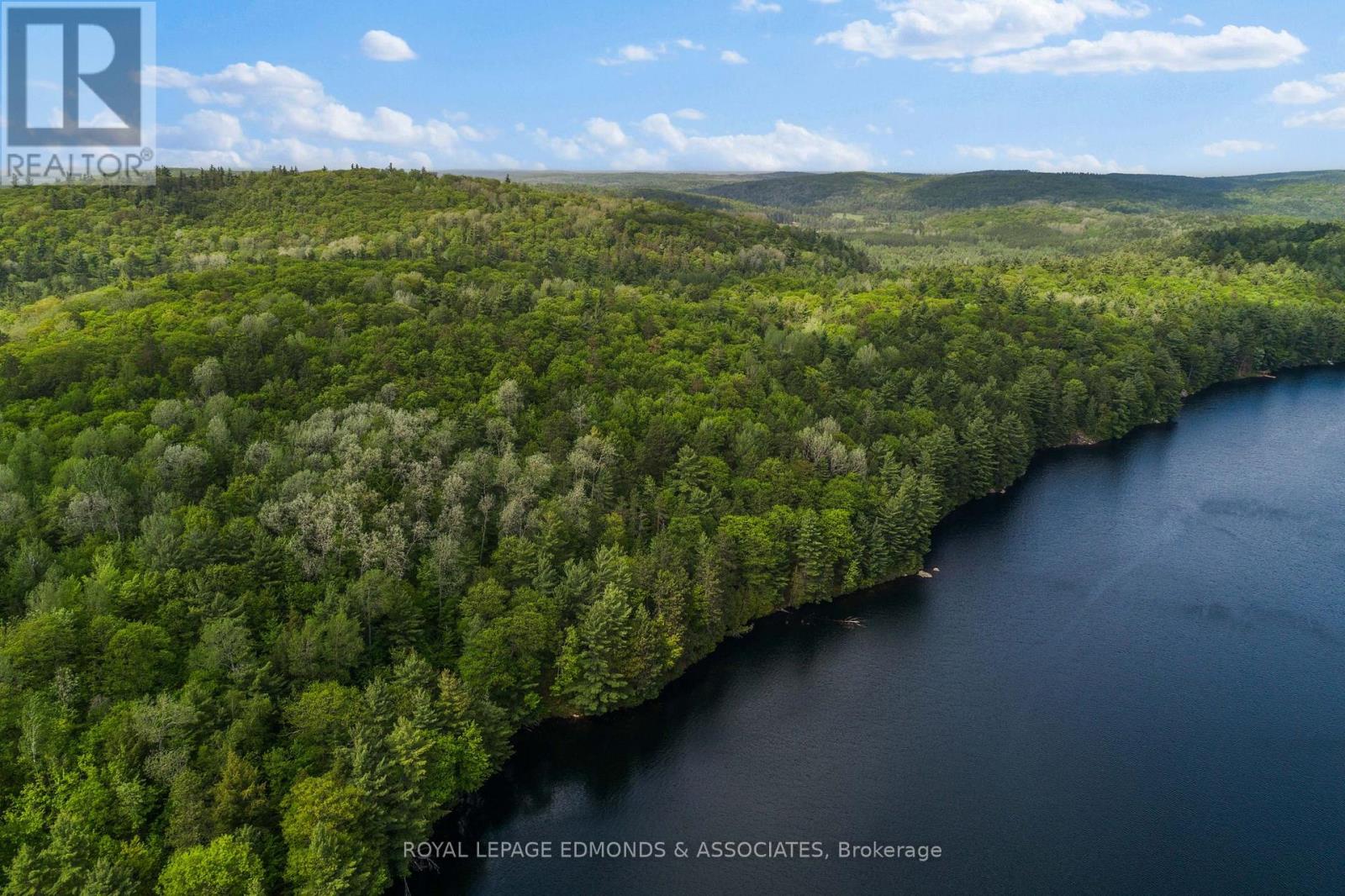 18993 Highway 60, Madawaska Valley, Ontario  K0J 1B0 - Photo 3 - X12279115