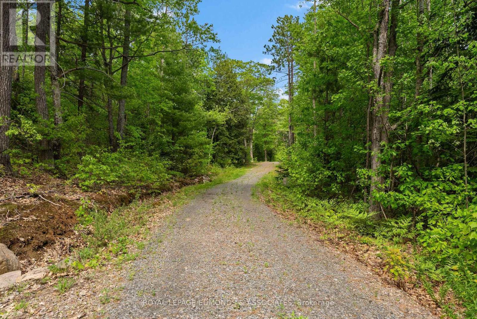 18993 Highway 60, Madawaska Valley, Ontario  K0J 1B0 - Photo 34 - X12279115