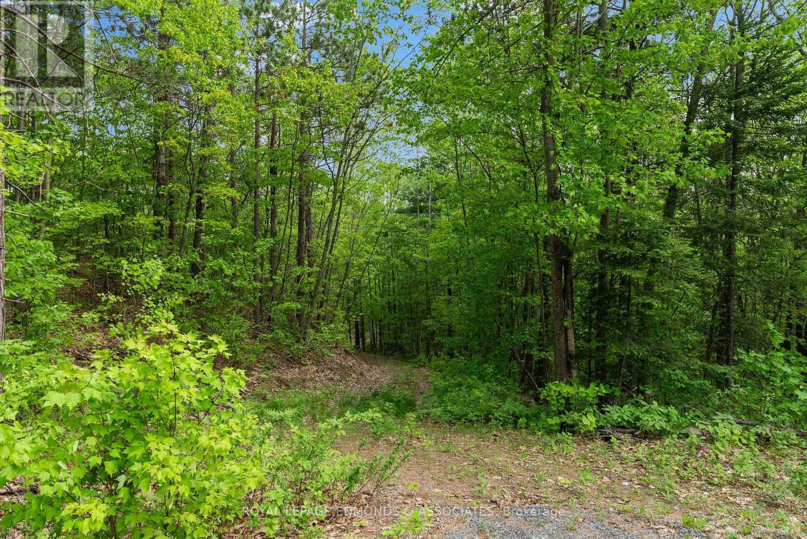 18993 Highway 60, Madawaska Valley, Ontario  K0J 1B0 - Photo 35 - X12279115