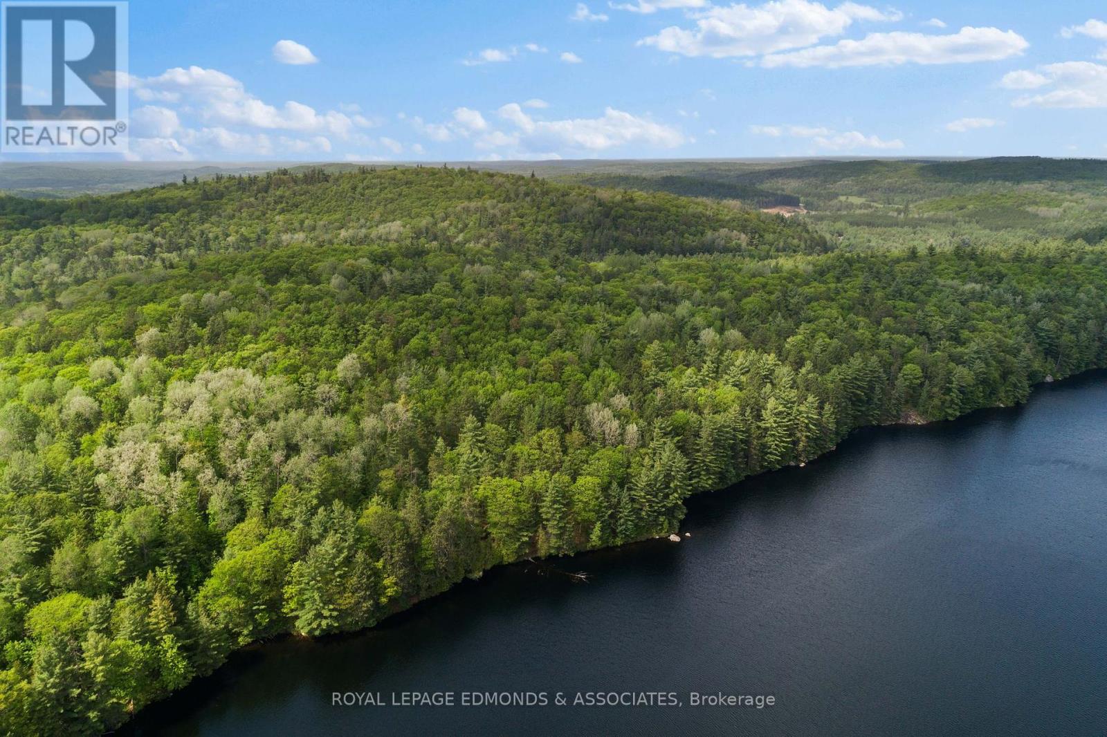 18993 Highway 60, Madawaska Valley, Ontario  K0J 1B0 - Photo 4 - X12279115