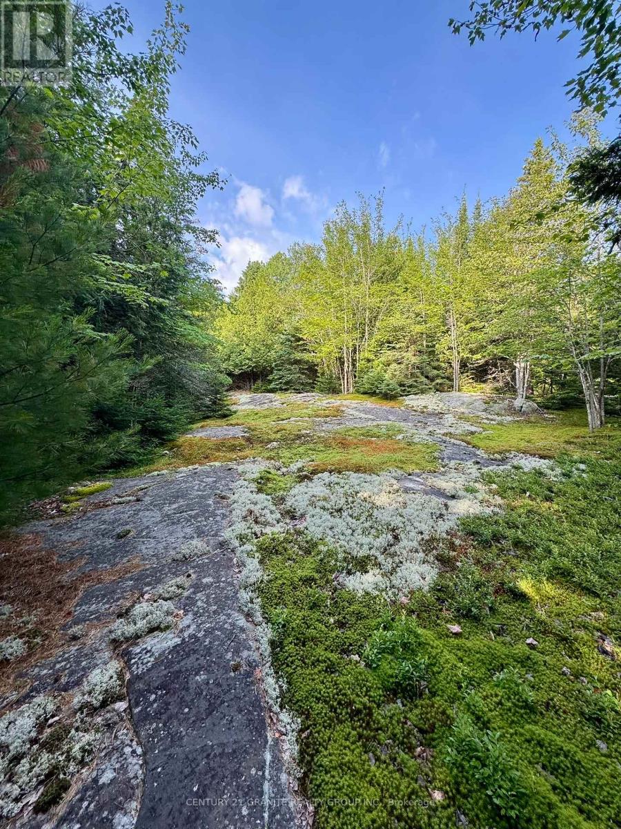 5280 Boulter Road, Carlow/mayo, Ontario K0L 1G0 - Photo 11 - X12279188