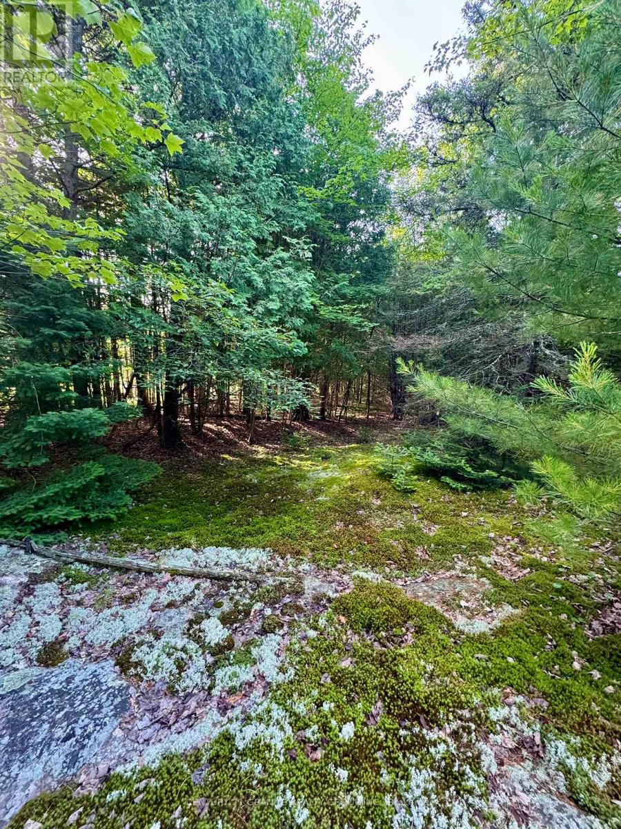 5280 Boulter Road, Carlow/mayo, Ontario K0L 1G0 - Photo 14 - X12279188