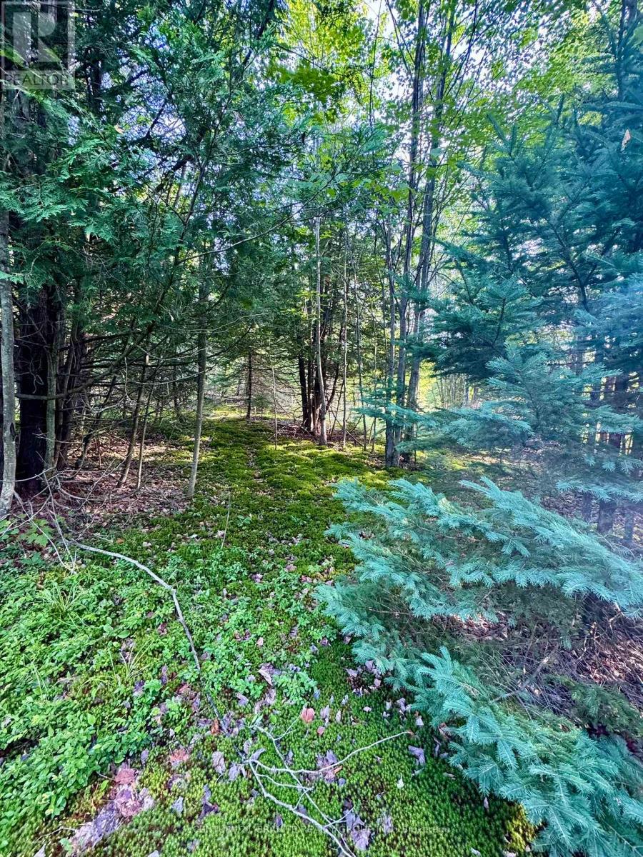 5280 Boulter Road, Carlow/mayo, Ontario K0L 1G0 - Photo 15 - X12279188