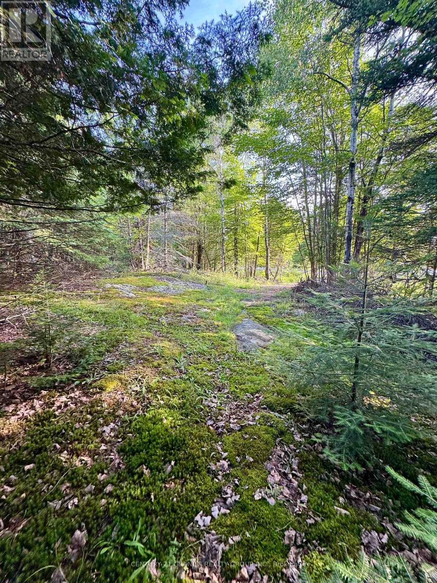 5280 Boulter Road, Carlow/mayo, Ontario K0L 1G0 - Photo 17 - X12279188