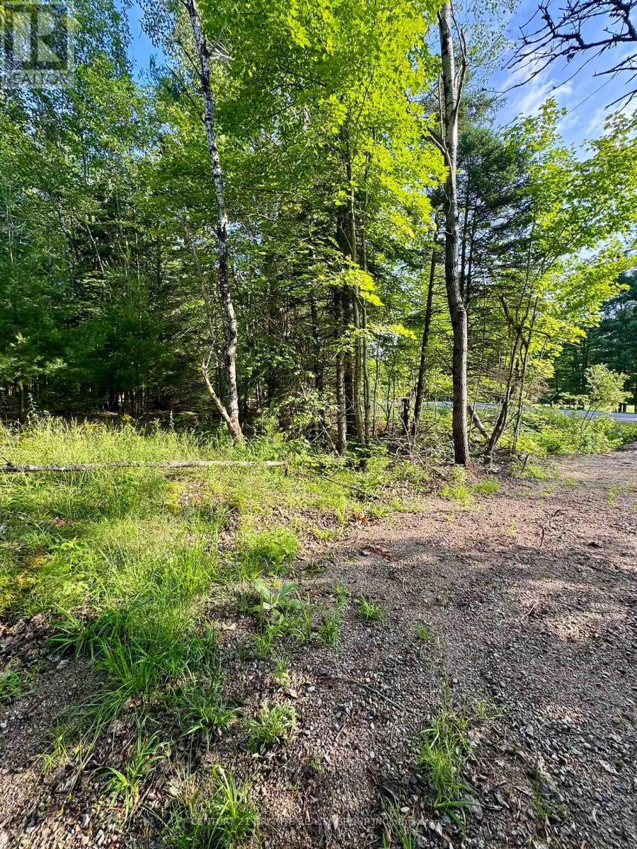 5280 Boulter Road, Carlow/mayo, Ontario K0L 1G0 - Photo 18 - X12279188