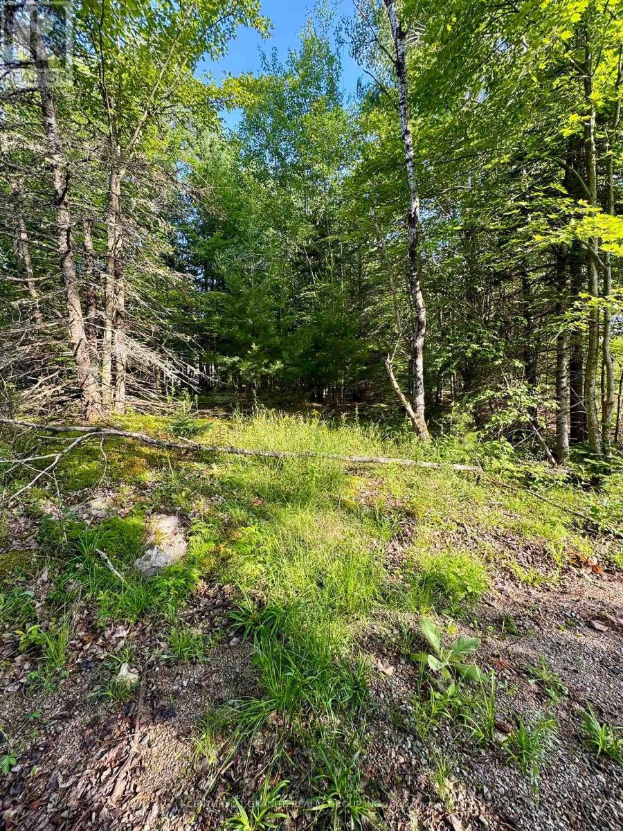 5280 Boulter Road, Carlow/mayo, Ontario K0L 1G0 - Photo 19 - X12279188