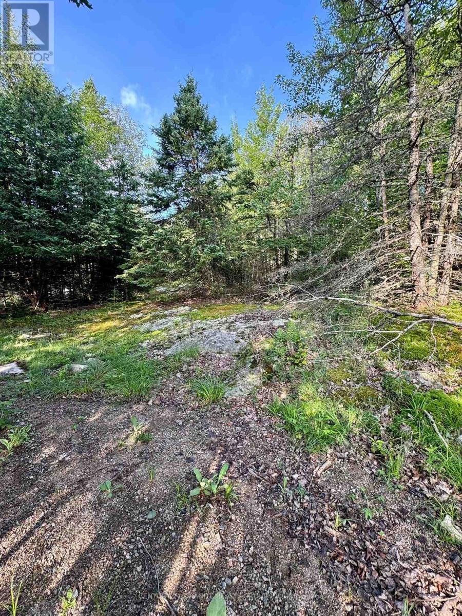 5280 Boulter Road, Carlow/mayo, Ontario K0L 1G0 - Photo 20 - X12279188