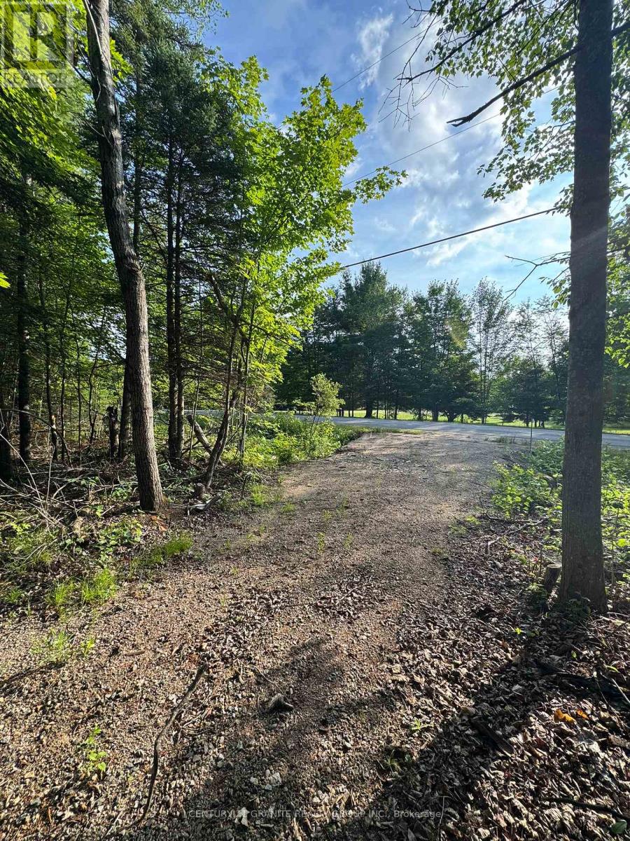 5280 Boulter Road, Carlow/mayo, Ontario K0L 1G0 - Photo 22 - X12279188