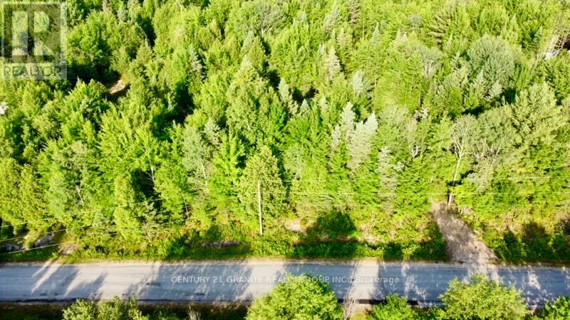 5280 Boulter Road, Carlow/mayo, Ontario K0L 1G0 - Photo 4 - X12279188