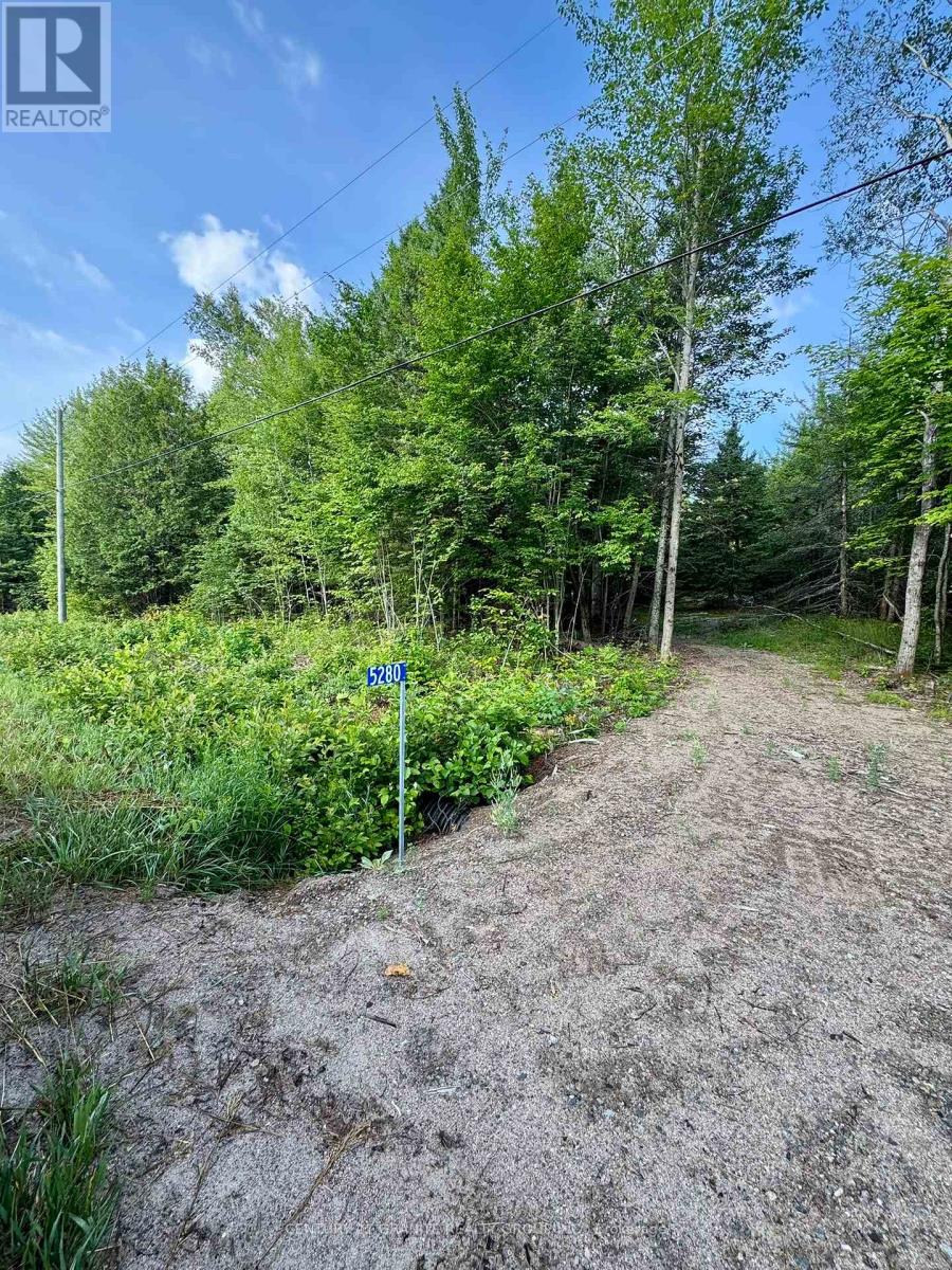 5280 Boulter Road, Carlow/mayo, Ontario K0L 1G0 - Photo 6 - X12279188