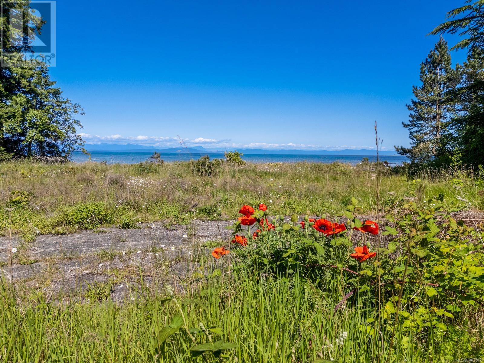 4218 Island Hwy S, Courtenay, British Columbia  V9N 9R8 - Photo 27 - 1002547