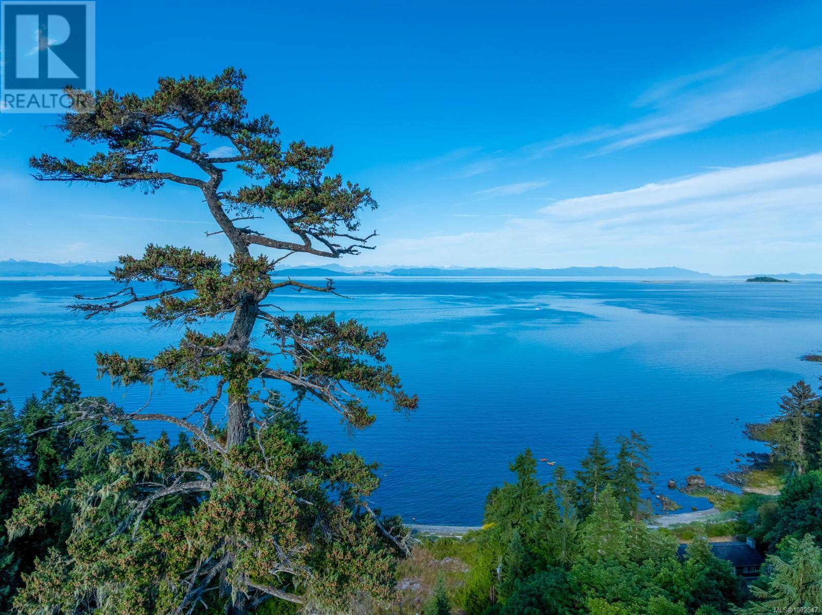 4218 Island Hwy S, Courtenay, British Columbia  V9N 9R8 - Photo 40 - 1002547