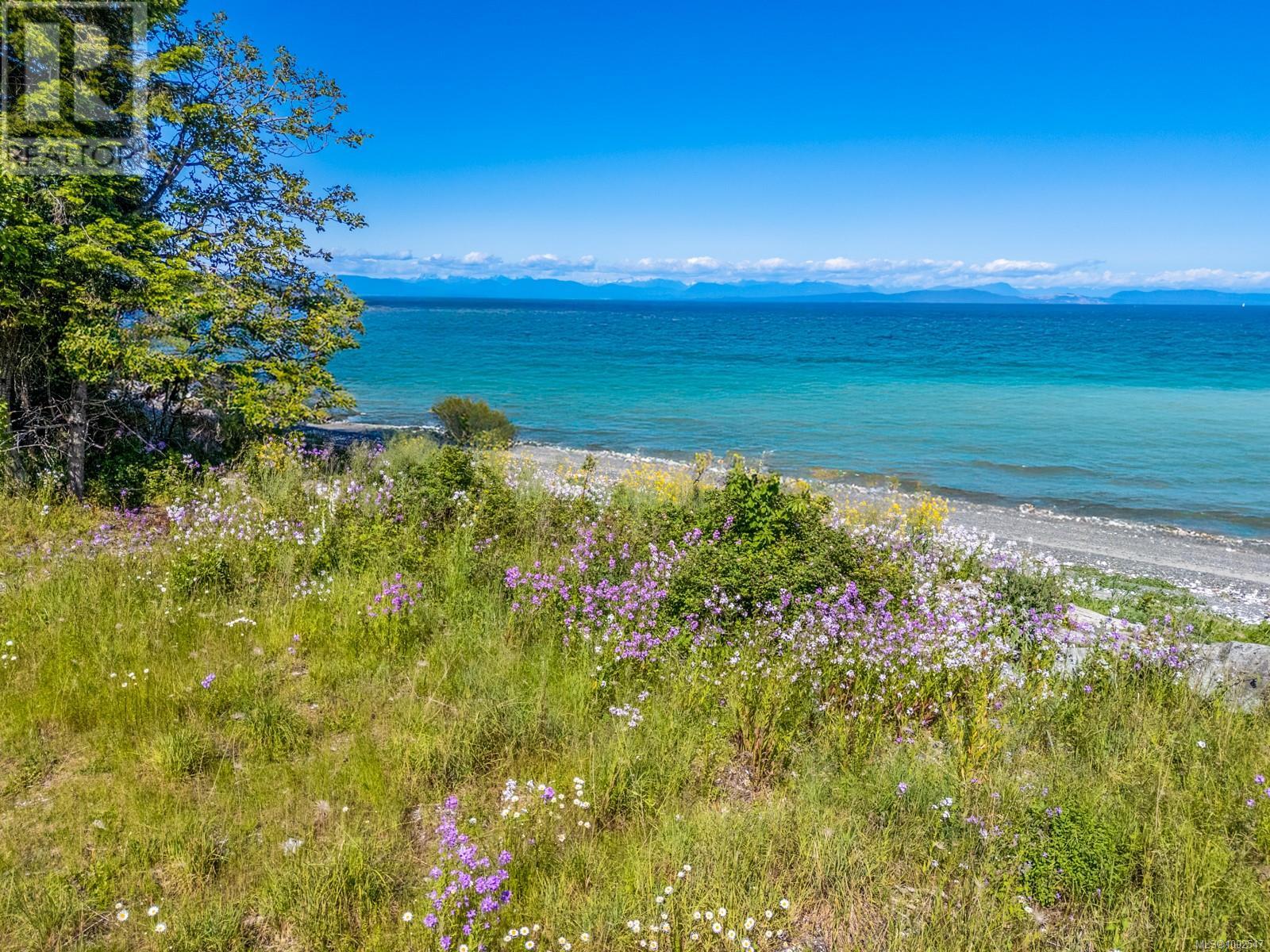 4218 Island Hwy S, Courtenay, British Columbia  V9N 9R8 - Photo 26 - 1002547