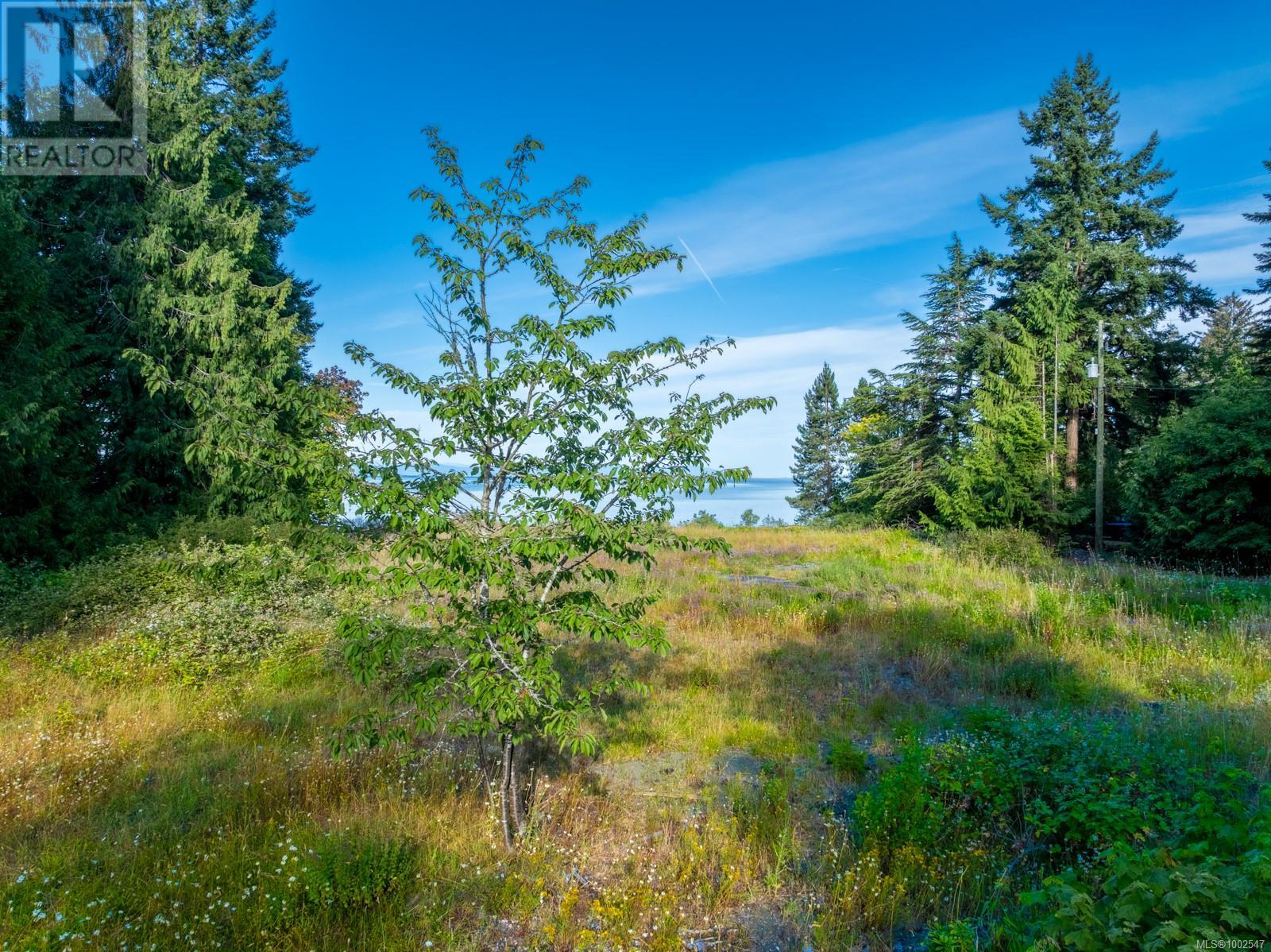 4218 Island Hwy S, Courtenay, British Columbia  V9N 9R8 - Photo 44 - 1002547