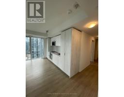 3528 - 28 WIDMER STREET, Toronto, Ontario