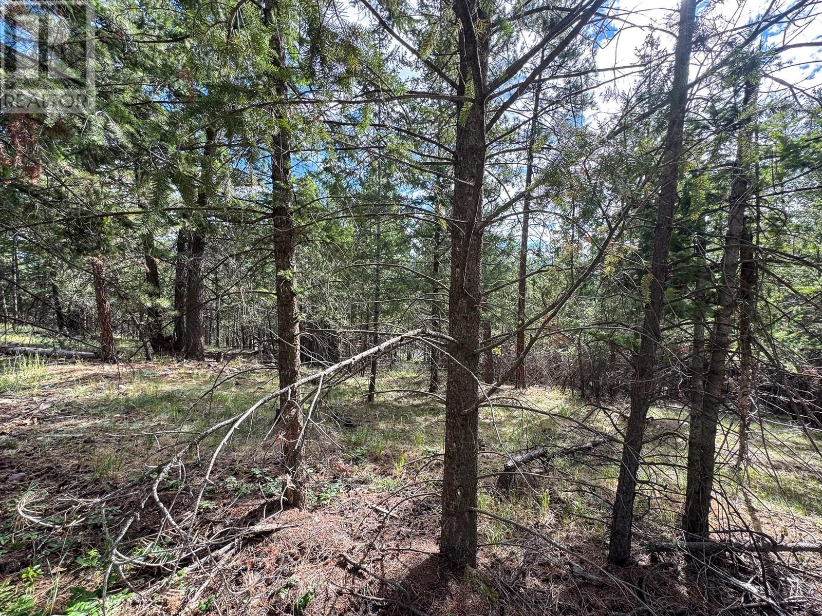 217 Industrial  F Road, Cranbrook, British Columbia  V1C 6N4 - Photo 35 - 10355619