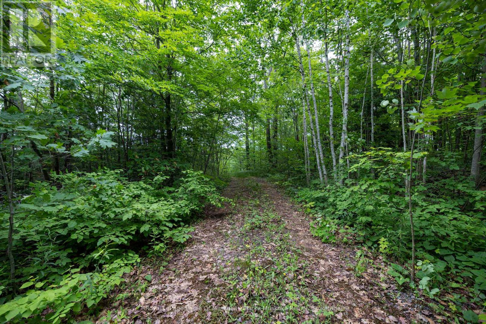 173 612 Highway, Seguin, Ontario  P0C 1H0 - Photo 3 - X12213603
