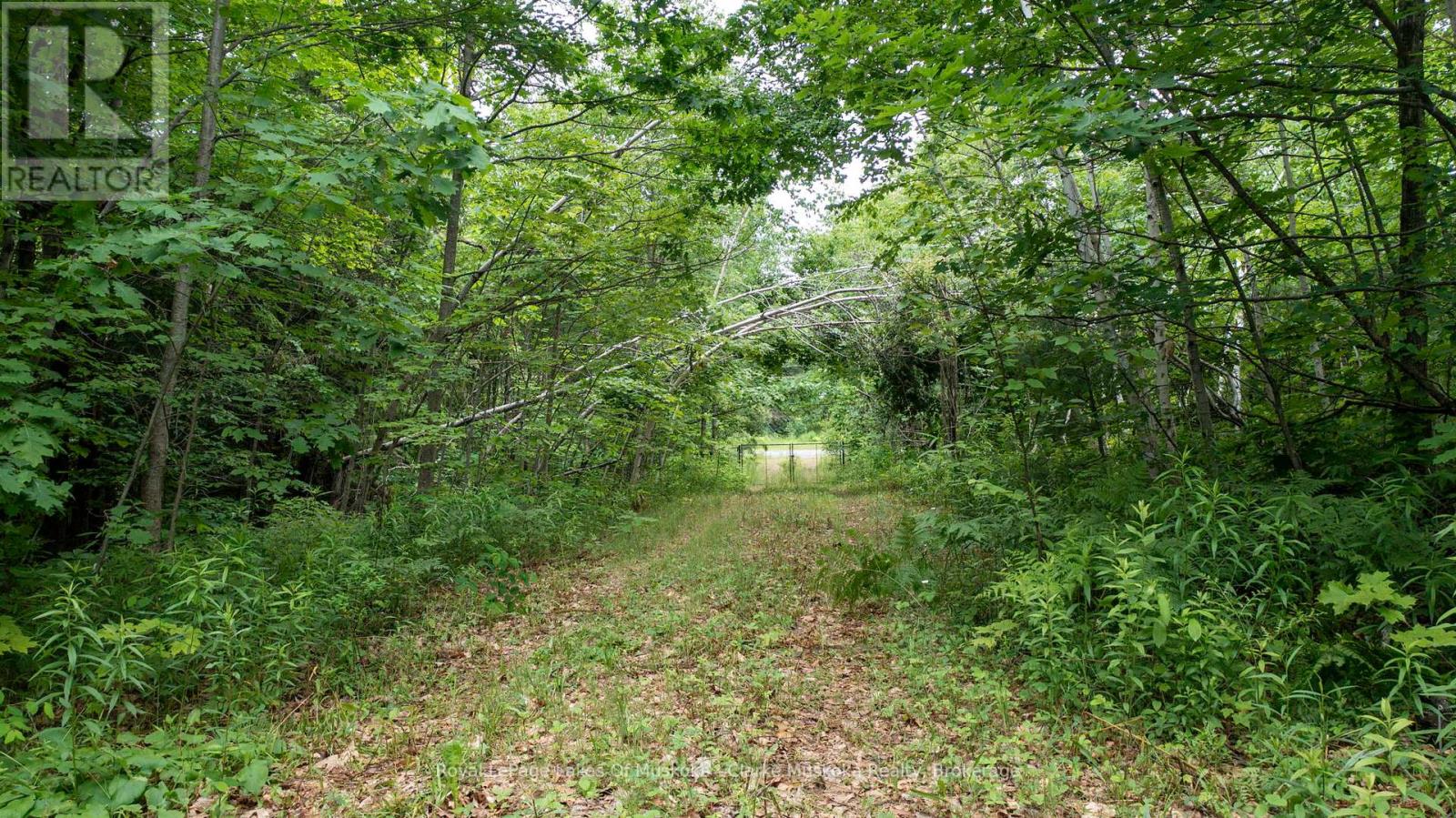 173 612 Highway, Seguin, Ontario  P0C 1H0 - Photo 17 - X12213603