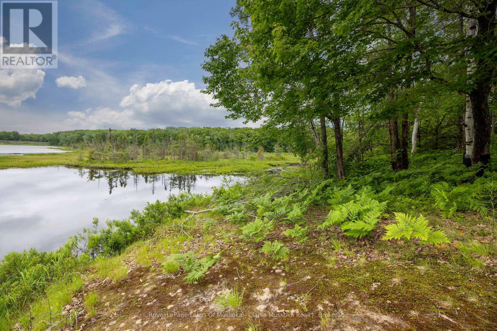 173 612 Highway, Seguin, Ontario  P0C 1H0 - Photo 7 - X12213603
