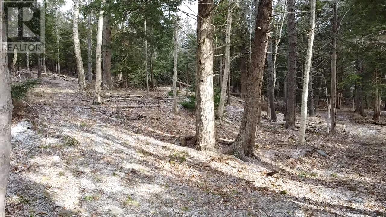 974 Fall River Road, Fall River, Nova Scotia  B2T 1E9 - Photo 1 - 202504974