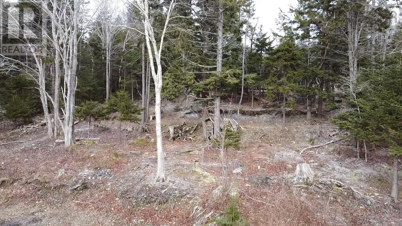 974 Fall River Road, Fall River, Nova Scotia  B2T 1E9 - Photo 17 - 202504974