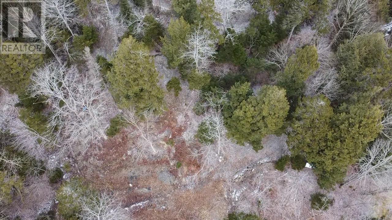 974 Fall River Road, Fall River, Nova Scotia  B2T 1E9 - Photo 5 - 202504974