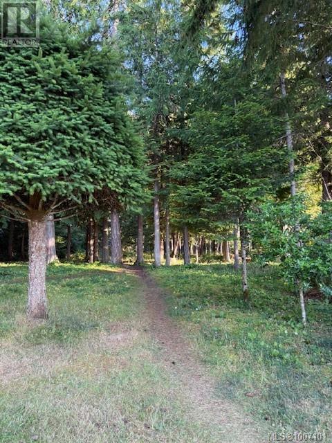 459 Hoylake Rd W, Qualicum Beach, British Columbia  V9K 1J5 - Photo 6 - 1007101