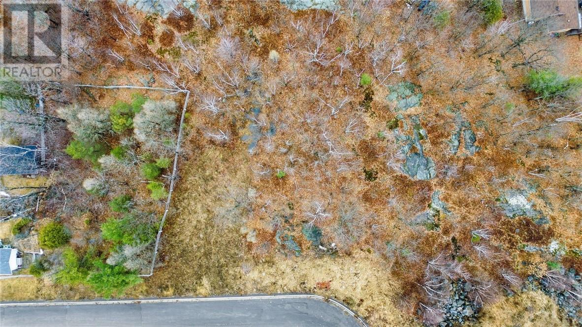 Lot 41 Woodland Avenue, Sudbury, Ontario  P3B 3G8 - Photo 6 - 2123496