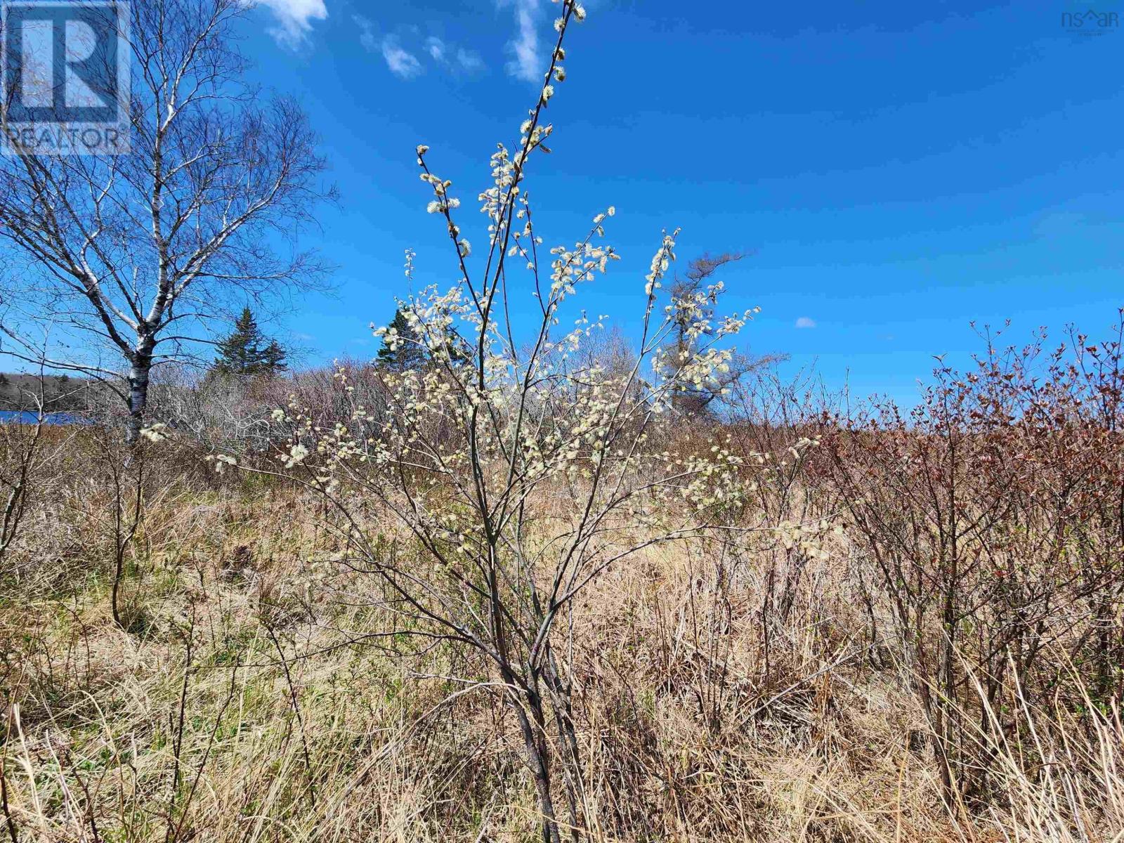 Lot Small Gains Road, Brooklyn, Nova Scotia  B5A 0G3 - Photo 16 - 202517393