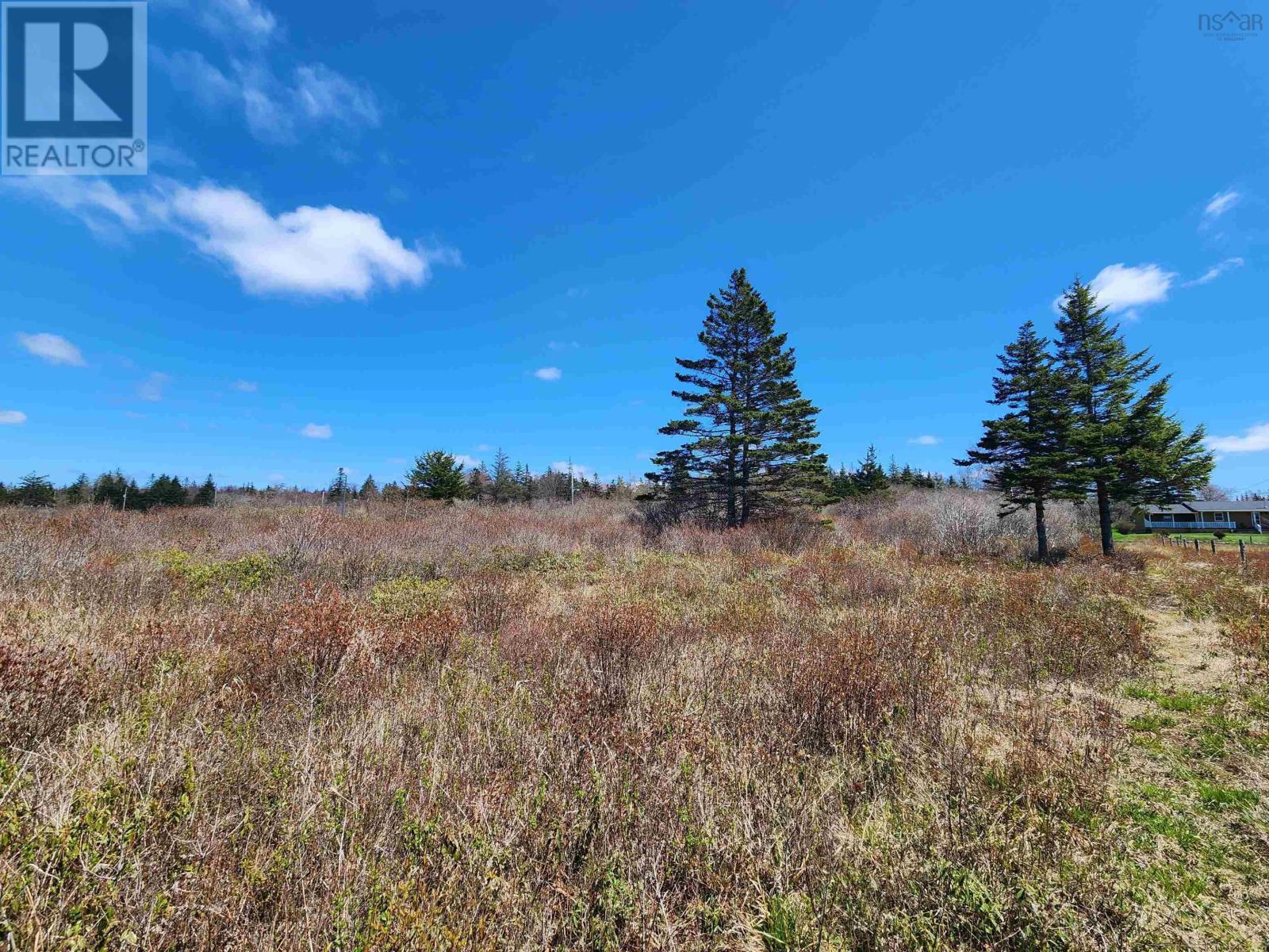 Lot Small Gains Road, Brooklyn, Nova Scotia  B5A 0G3 - Photo 9 - 202517393