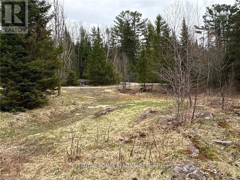 1014 Bulrush Trail, Highlands East (Glamorgan), Ontario  K0M 1R0 - Photo 12 - X12279504