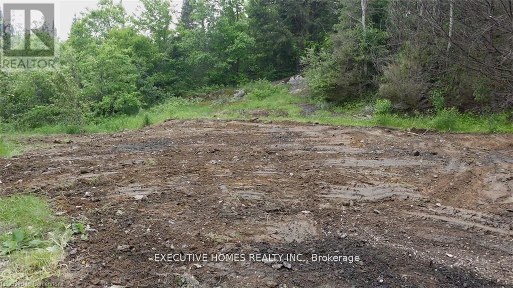 1014 Bulrush Trail, Highlands East (Glamorgan), Ontario  K0M 1R0 - Photo 13 - X12279504