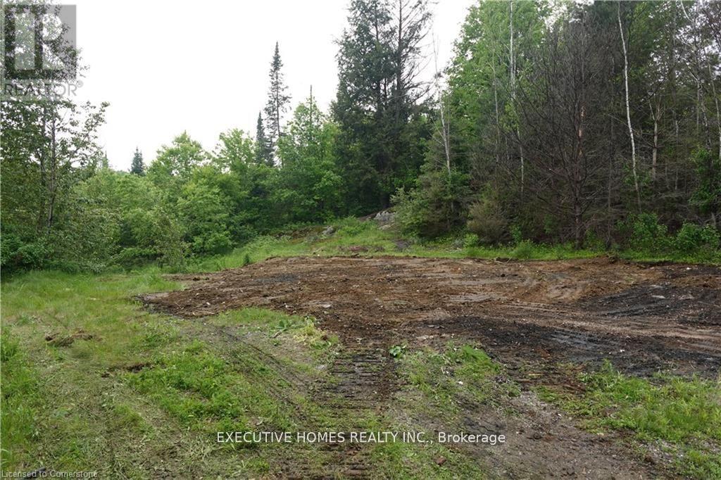 1014 Bulrush Trail, Highlands East (Glamorgan), Ontario  K0M 1R0 - Photo 14 - X12279504