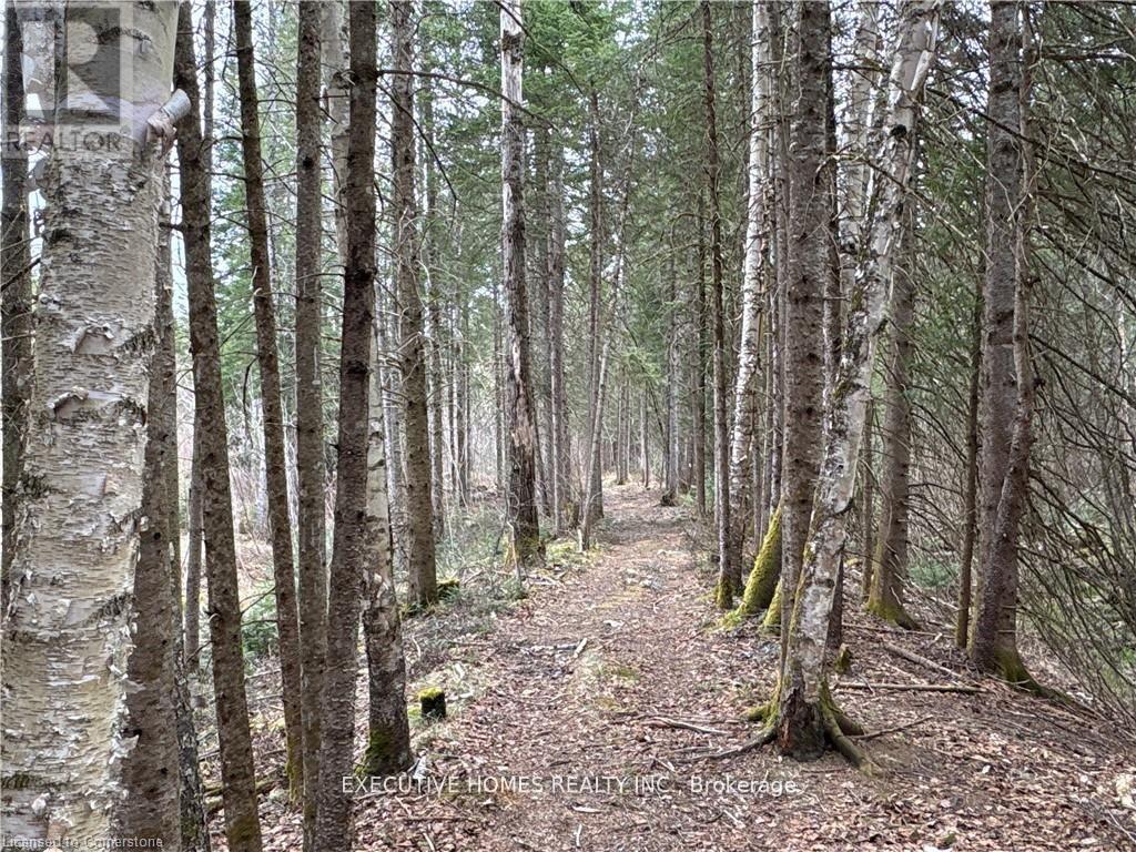 1014 Bulrush Trail, Highlands East (Glamorgan), Ontario  K0M 1R0 - Photo 15 - X12279504