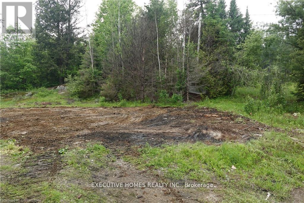 1014 Bulrush Trail, Highlands East (Glamorgan), Ontario  K0M 1R0 - Photo 8 - X12279504