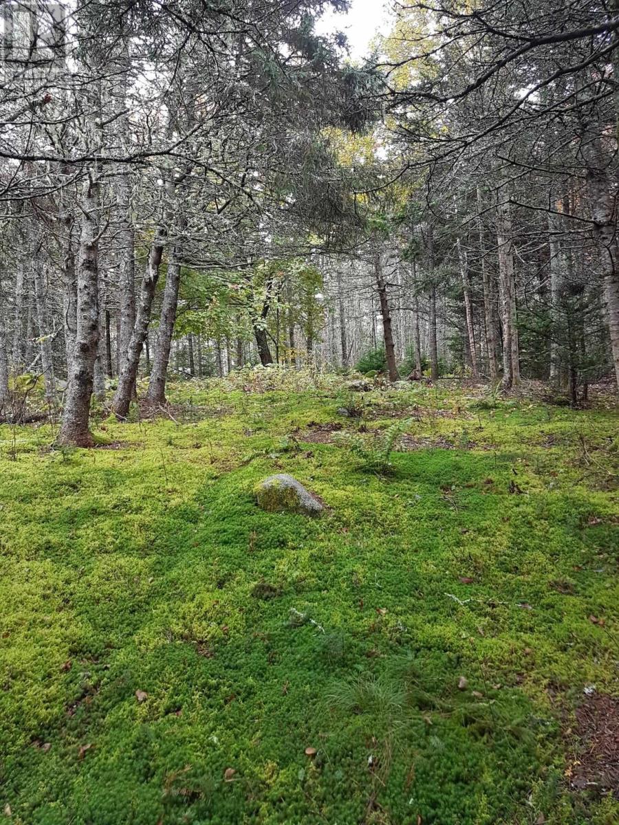 6989 Highway 16, Halfway Cove, Nova Scotia  B0H 1N0 - Photo 17 - 202509556