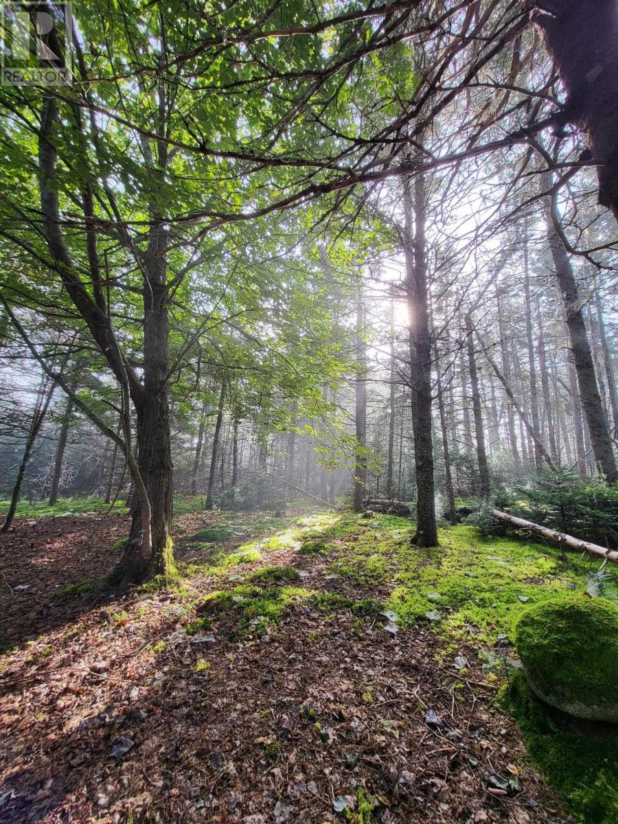 6989 Highway 16, Halfway Cove, Nova Scotia  B0H 1N0 - Photo 19 - 202509556