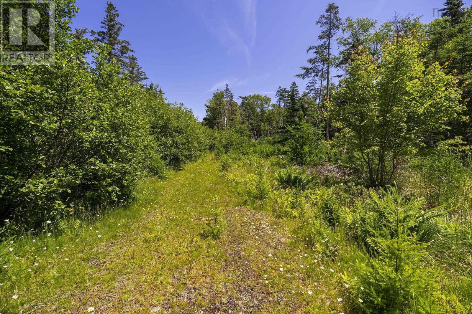 14 Killiam Forest Road, Ireton, Nova Scotia  B5A 5L5 - Photo 39 - 202517403