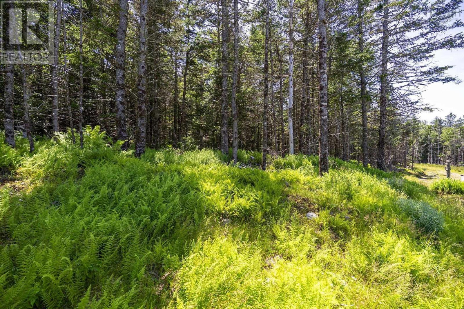 14 Killiam Forest Road, Ireton, Nova Scotia  B5A 5L5 - Photo 38 - 202517403