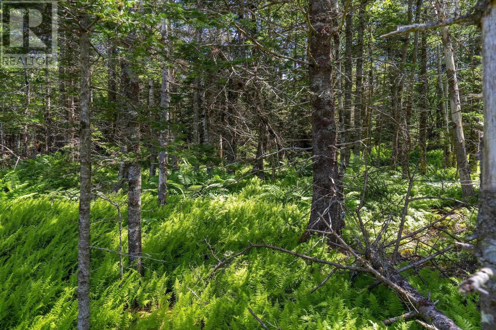 14 Killiam Forest Road, Ireton, Nova Scotia  B5A 5L5 - Photo 36 - 202517403