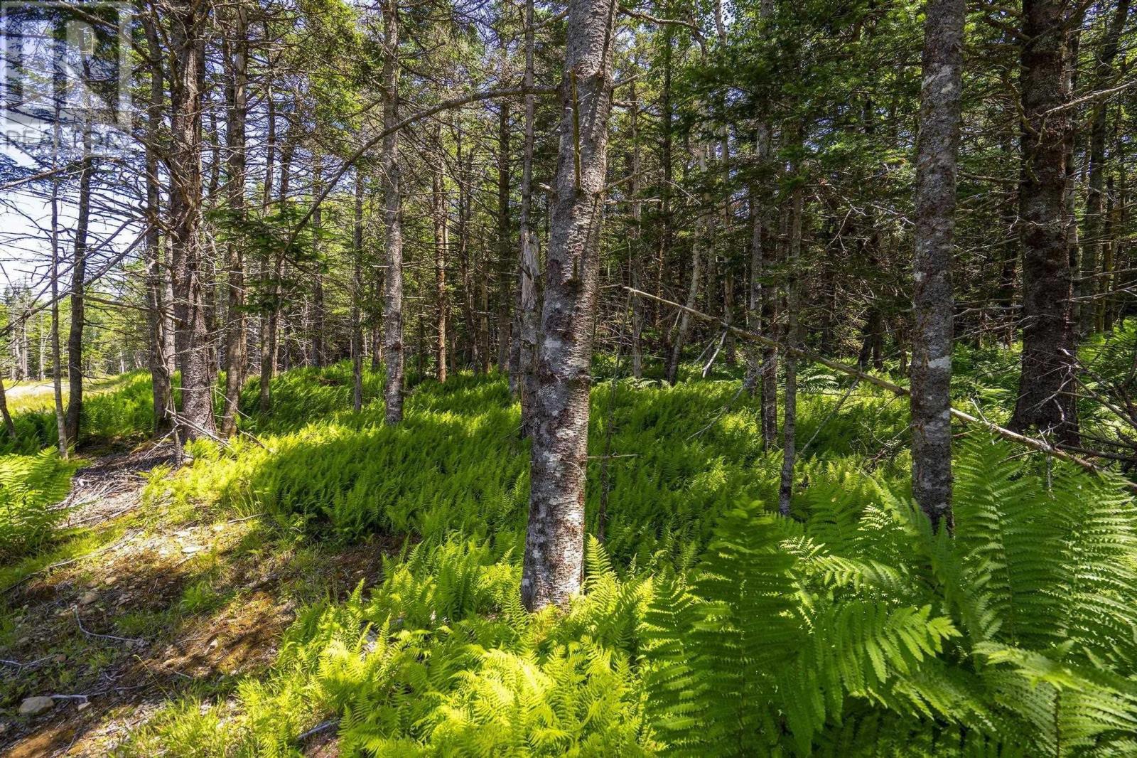 14 Killiam Forest Road, Ireton, Nova Scotia  B5A 5L5 - Photo 35 - 202517403
