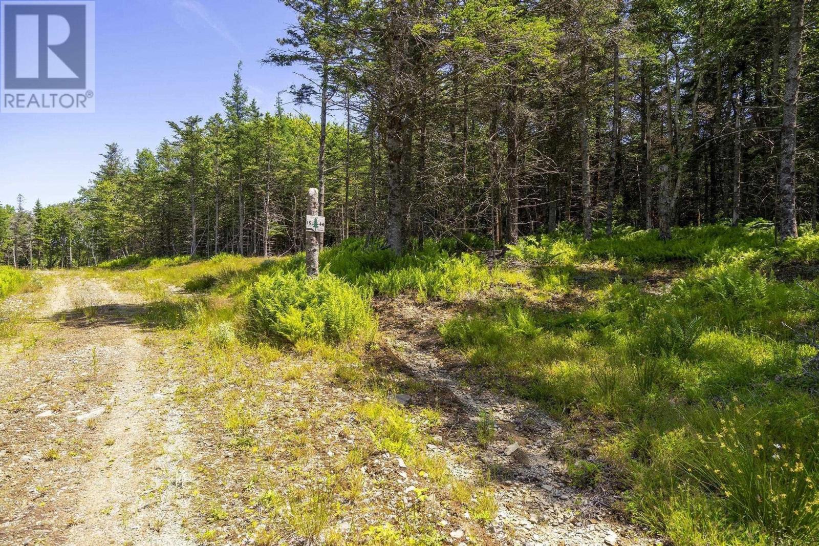 14 Killiam Forest Road, Ireton, Nova Scotia  B5A 5L5 - Photo 33 - 202517403